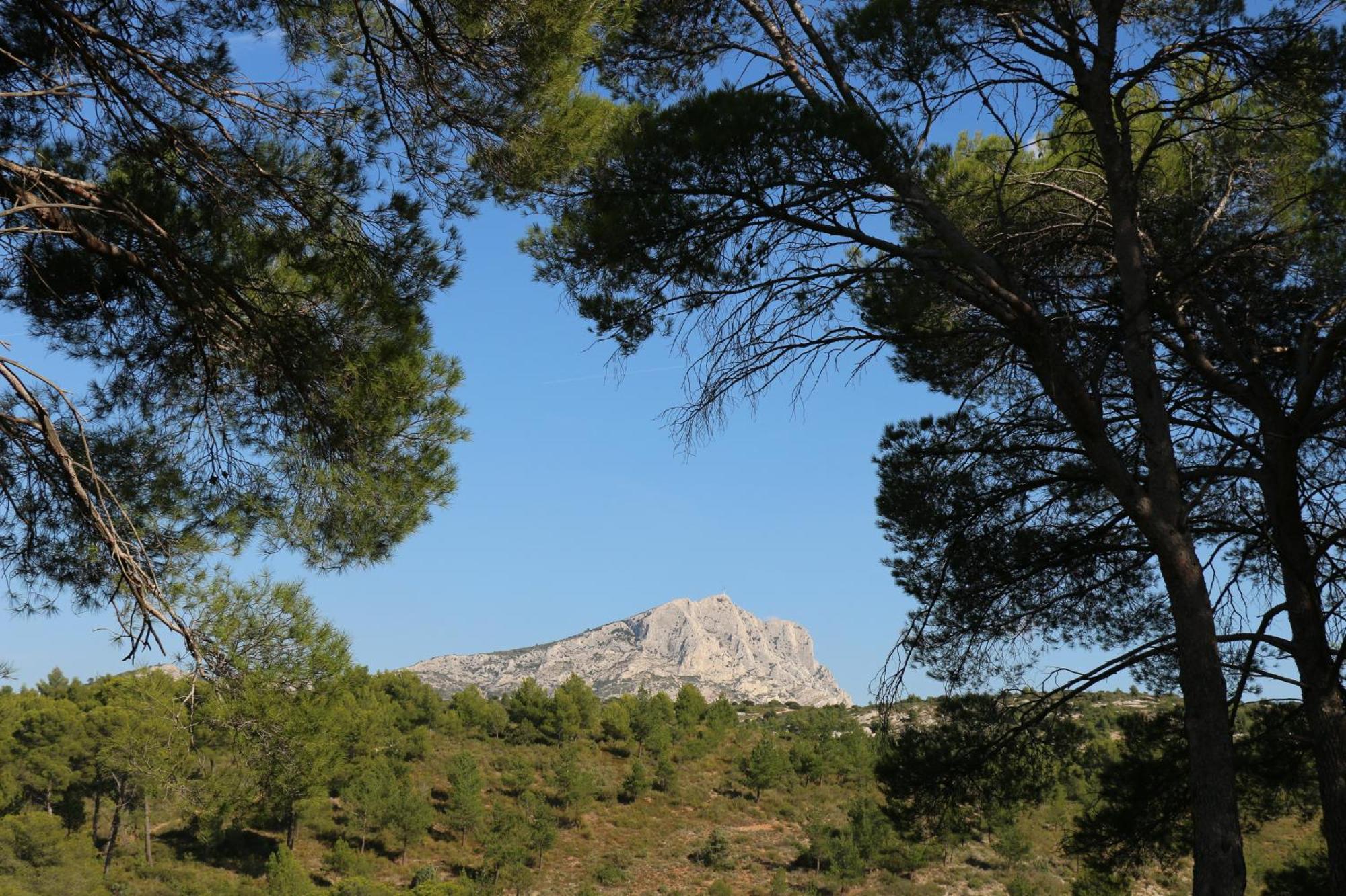 Studio Charmant Au Calme Aix-en-Provence Buitenkant foto